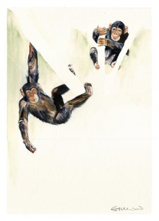 chimps4_72dpi