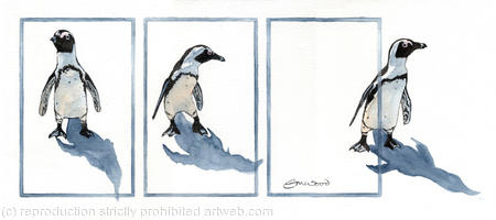 the jackass penguin (signed, limited edition print)