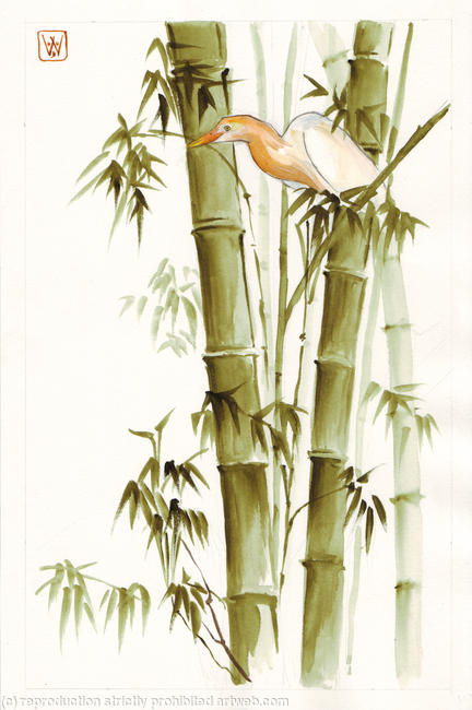Bamboo
