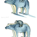 Polar bear - example of variations - watercolour on paper original