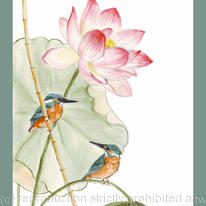 Lotus with kingfishers