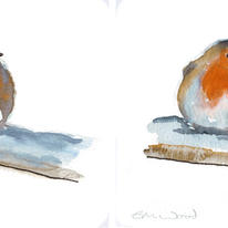 robin - example of variations