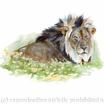 Lion of Venetia