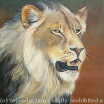 Lion of the Limpopo
