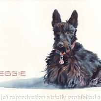 meggie