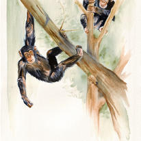 up in the trees