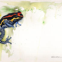 hidden Frog for Sarah