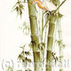 Bamboo and heron