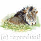 Lion of Venetia