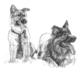 Two Shepherds