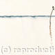 resting post (swallow)