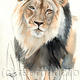 lion portrait (Thunzi)