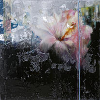 Hibiscus black