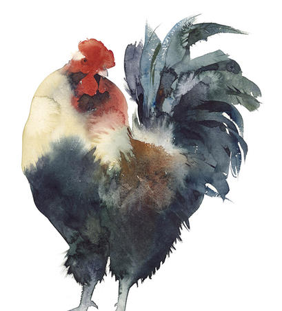 Gallo, Kate Osborne