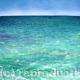 Clear Blue