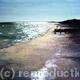 A Walk on the Beach