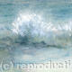 Splash
