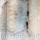 Silver Birch