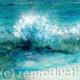 Splash