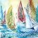 Regatta