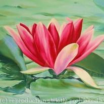Waterlily from Monets Garden, France