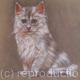 Mischief | £35 | 32 x 5cm | Pencil and Gouache on coloured paper Mischief