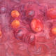 Fruit on a Magenta cloth