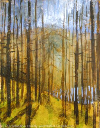 Looking through the trees, Nantyrarian
