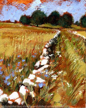 Summer lane, Grindlow