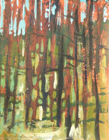 Pine Trunks, Hafod