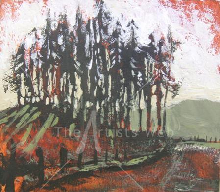 Trees near Devils Bridge
