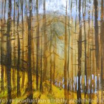Looking through the trees, Nantyrarian