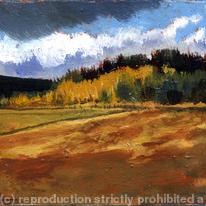 Sudden sunburst, Longshaw