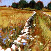 Summer lane, Grindlow