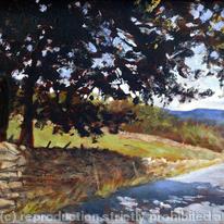 Dappled shade, Eyam