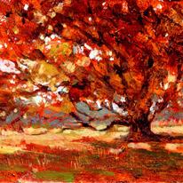 Falling leaves, Longshaw