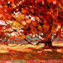 Falling leaves, Longshaw