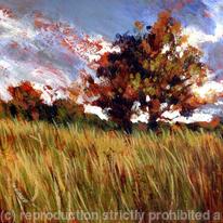 Quick moving clouds, Longshaw241