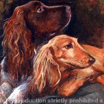 hidden Doggies