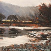 The River Rheidol