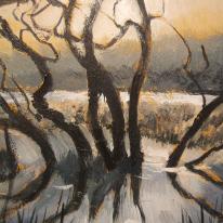 Lovesgrove floods