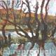Flooded Tree, Lovesgrove | | 13 x 15cm | Acrylic on board Flooded Tree, Lovesgrove