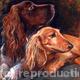 Doggies
