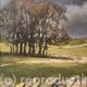 Tree Group, Hucklow | | | Acrylic on board Tree Group, Hucklow