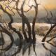Lovesgrove floods | | 11 x 14cm | Acrylic on board Lovesgrove floods