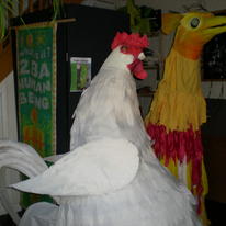 white chicken  yellow bird