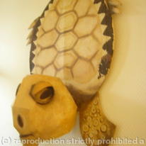 Tortoise totem