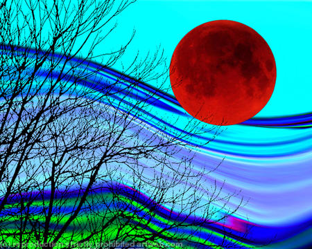 tree dreams 5