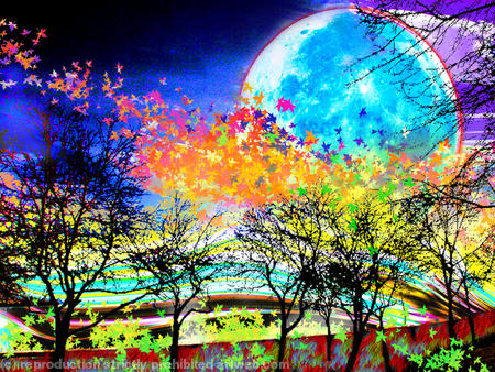tree dreams 3