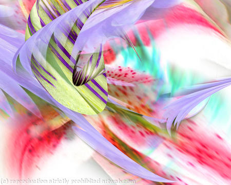 wildflower 2